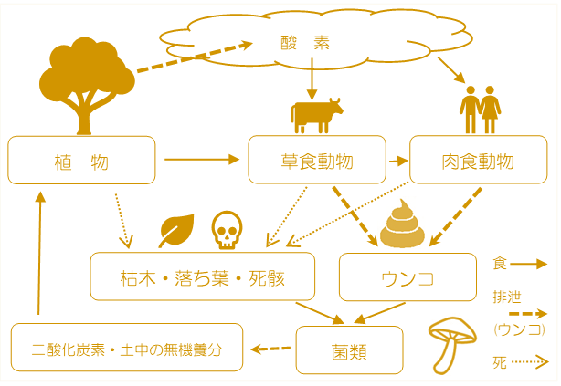 森とノグソ