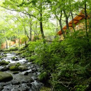 蔵王国定公園内13万平米の森に佇む、大人の森林温泉リゾート。あなただけの自由な一日をオールインクルーシブのステイスタイルで。