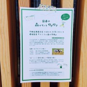 森ワクフリーペーパー5月号発行!