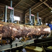 47都道府県の柱プロジェクト~島根県~