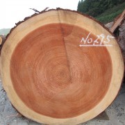 47都道府県の柱プロジェクト~奈良県~