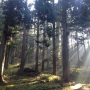 47都道府県の柱プロジェクト~和歌山県~