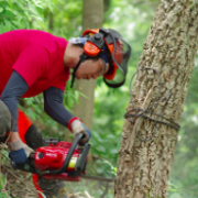 【新卒フェア出展企業ご紹介】森林文化アカデミー様