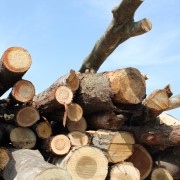 【転職フェア出展企業紹介!】有限会社根尾開発様