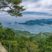 木の国 尾鷲林業の歴史