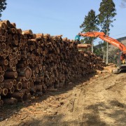 “つなぐ”ことでより良い木質バイオマス事業を生む【森のエネルギー研究所 九州営業所】
