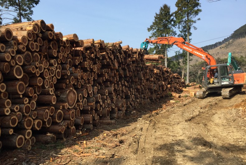 “つなぐ”ことでより良い木質バイオマス事業を生む【森のエネルギー研究所 九州営業所】