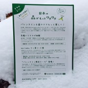 森ワクフリーペーパー2月号発行！