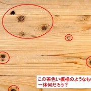 木材の節(ふし)って何?