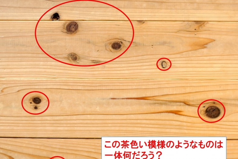 木材の節 ふし って何 木材の節 ふし って何