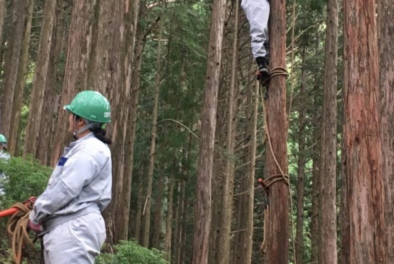 林業を学ぶ高校生たち