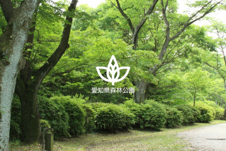 全国植樹祭の開催地としても注目を集めた 豊かな自然広がる憩いのスポット「愛知県森林公園」。