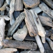 生きている木とはまたひと味ちがう 流木の世界