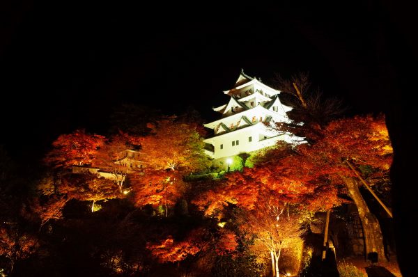 もみじと八幡城のライトアップ風景